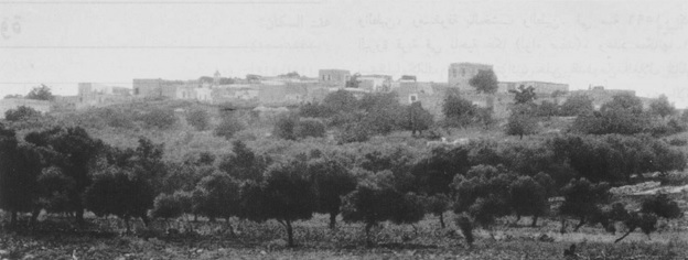 Al-Birwa