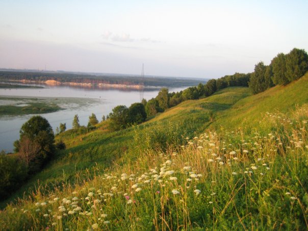 Bogorodsky District