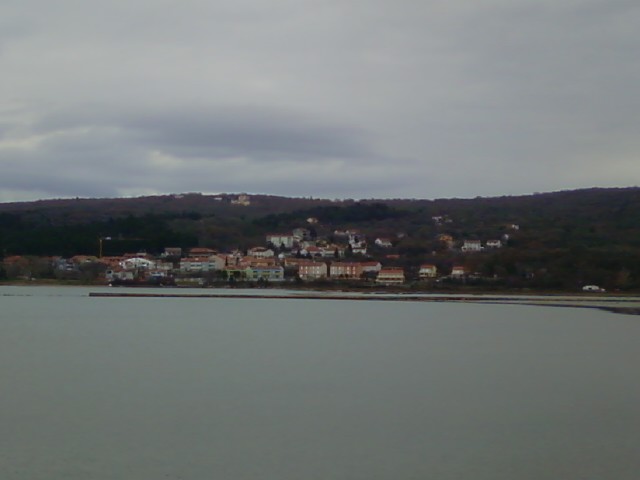 Soline