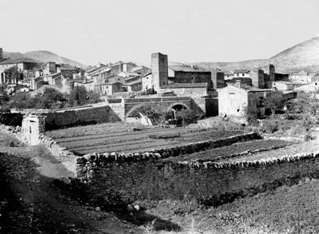 Manzanera
