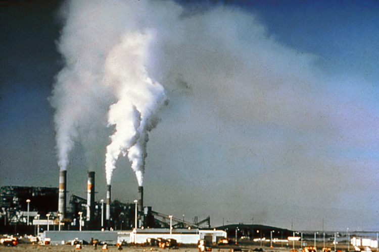 ecotoxicology