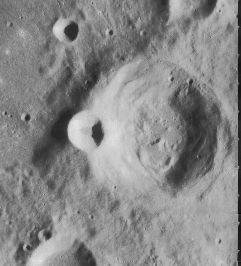 Cichus