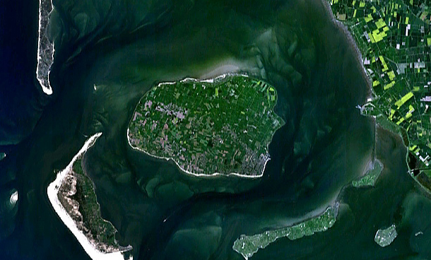 Föhr