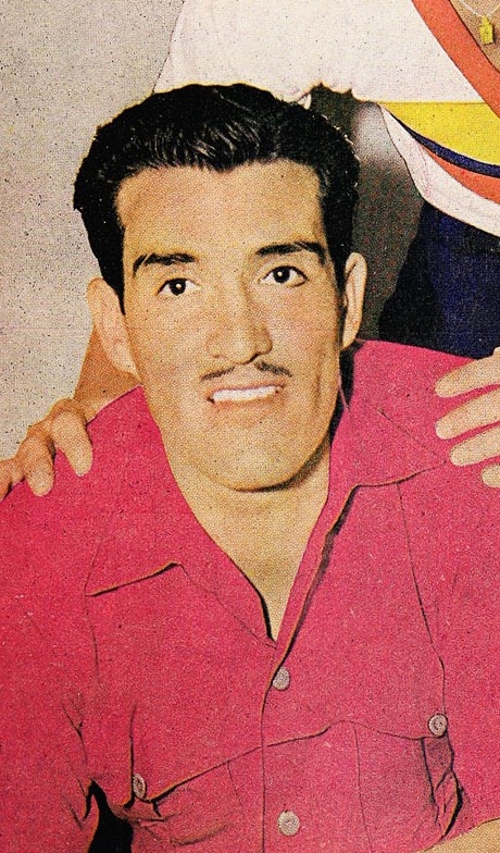 Vicente Arraya