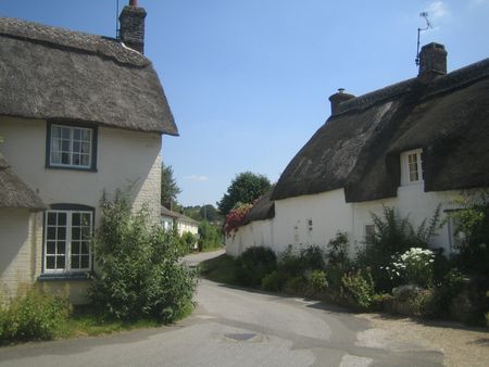 Bere Regis