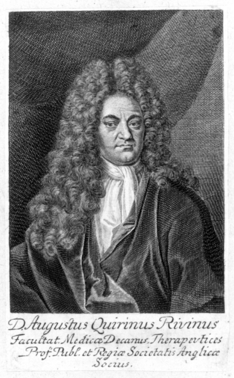 Augustus Quirinus Rivinus