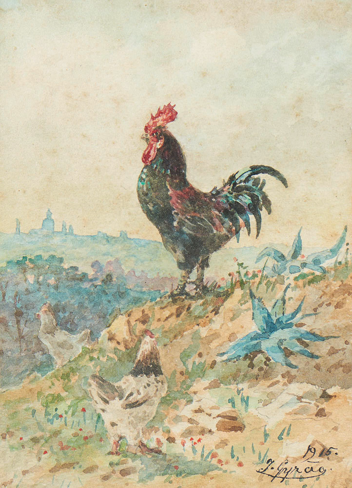 rooster
