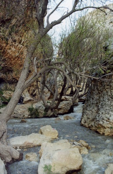 Sepidan County