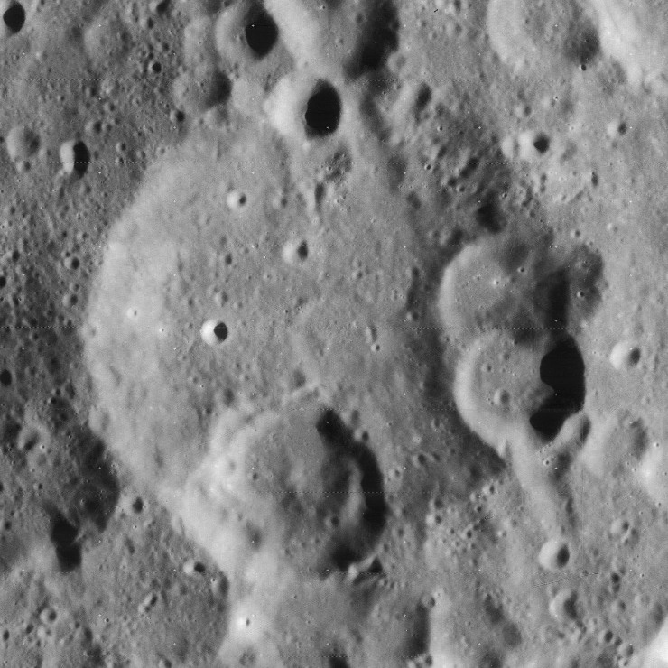 Vega