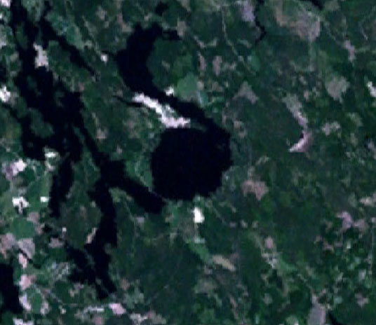 Karikkoselkä