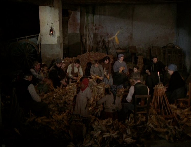 The Tree of Wooden Clogs