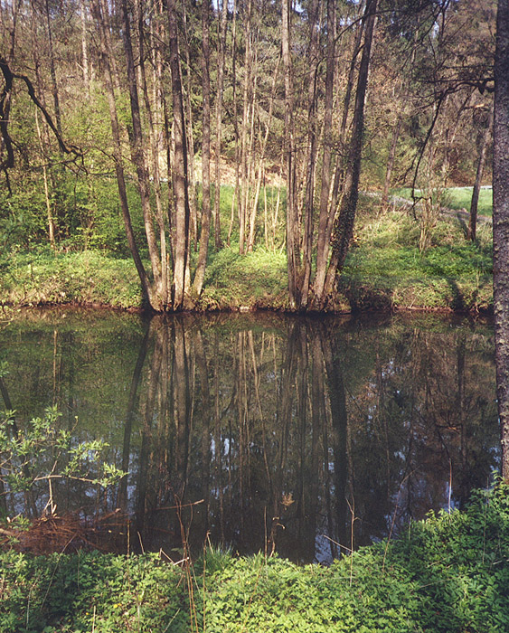 Nagold