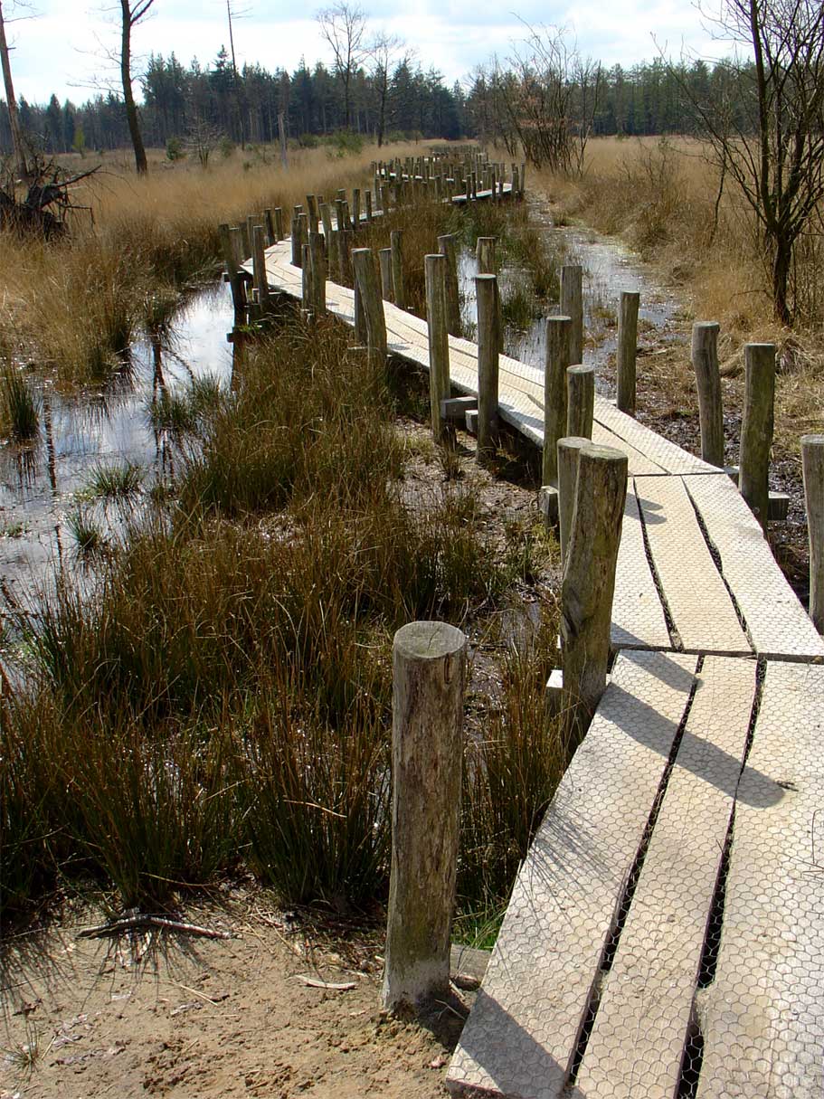 Dwingelderveld National Park