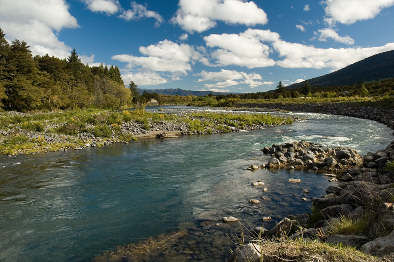Tongariro River