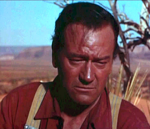 The Searchers
