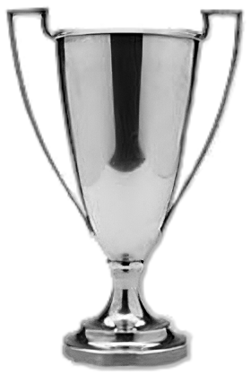 Wikipedia:WikiCup