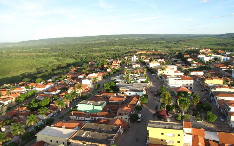 Jaborandi