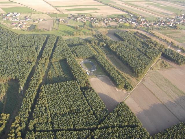 Dąbcze