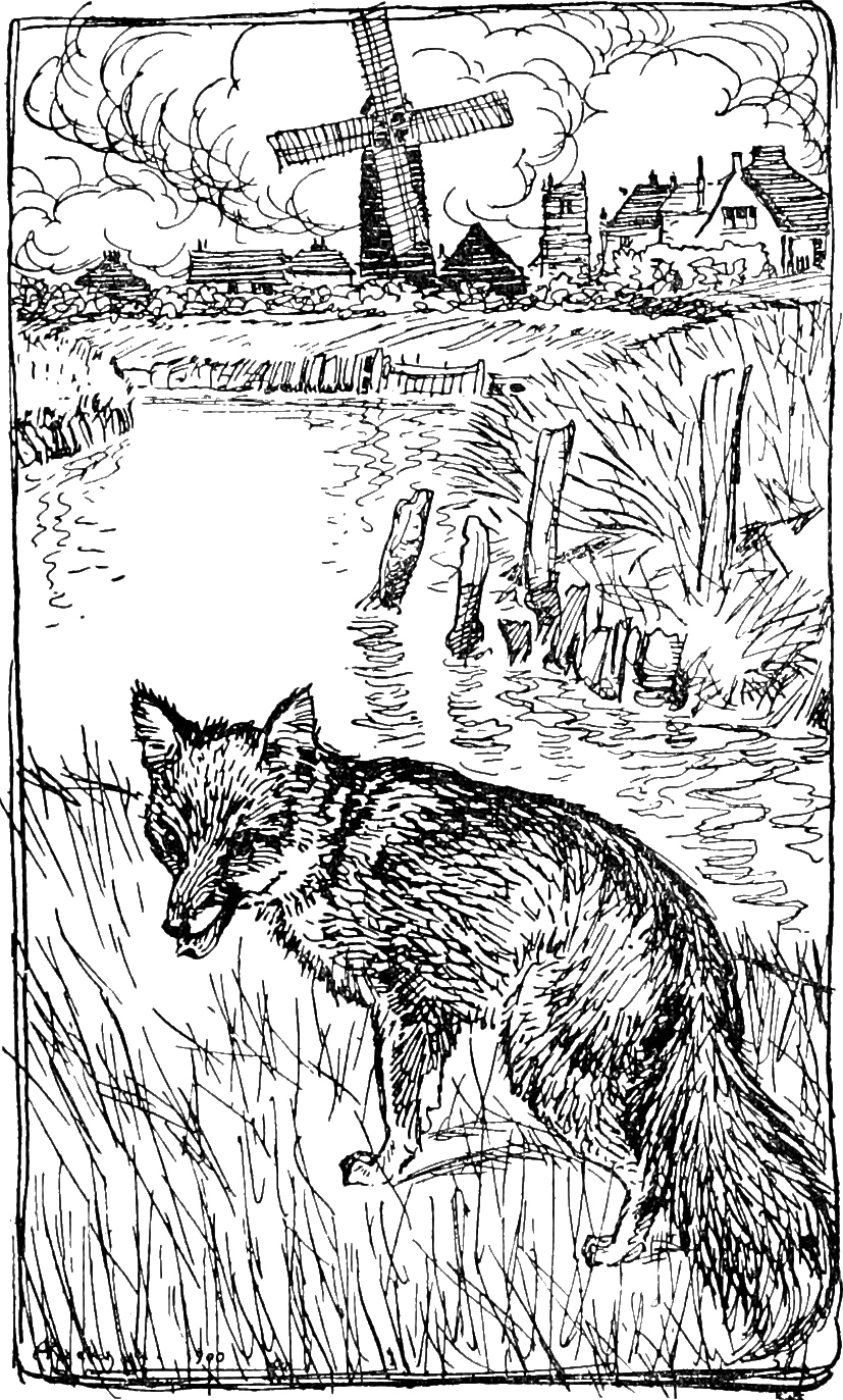 The Wedding of Mrs. Fox