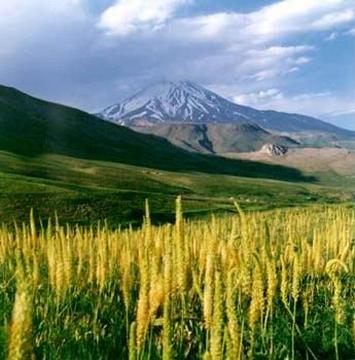 Elburz Range forest steppe