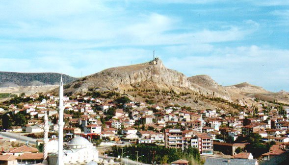 Hekimhan district