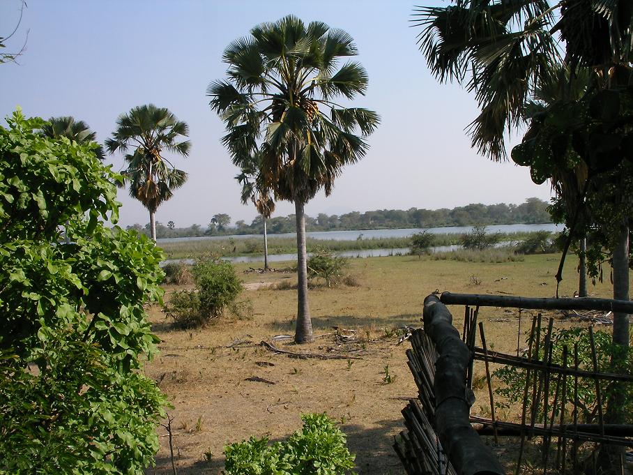 Liwonde National Park