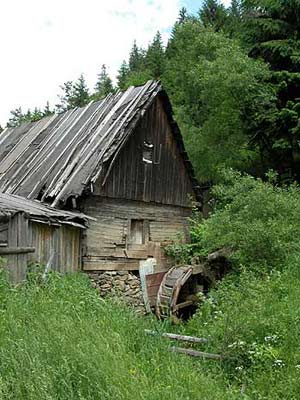 Bistra