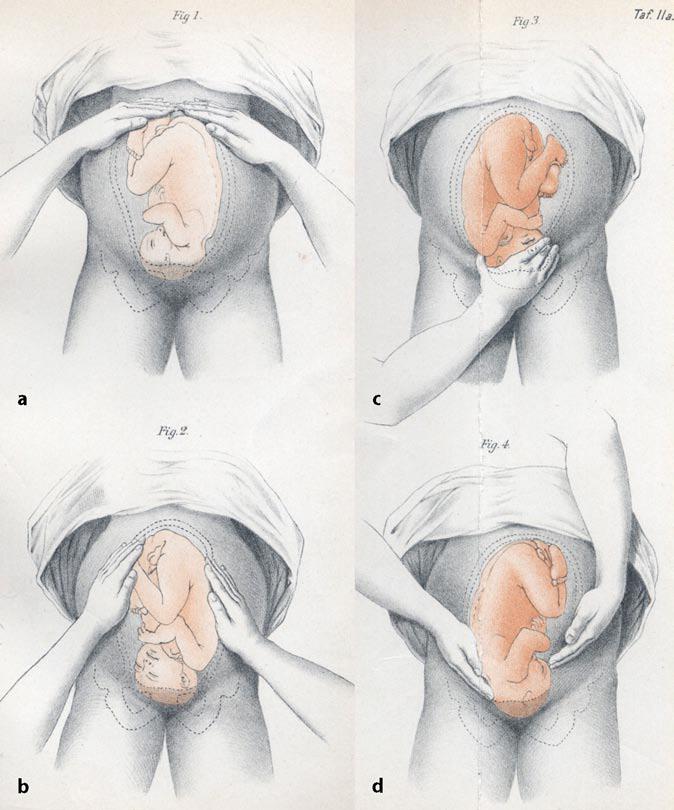obstetrics and gynaecology