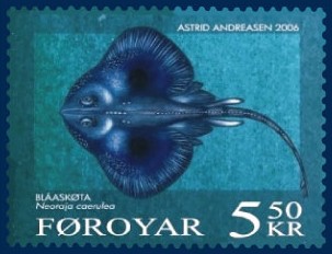 Neoraja