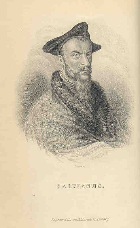 Hippolito Salviani