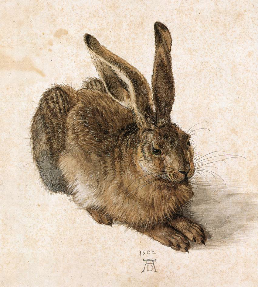 animal art