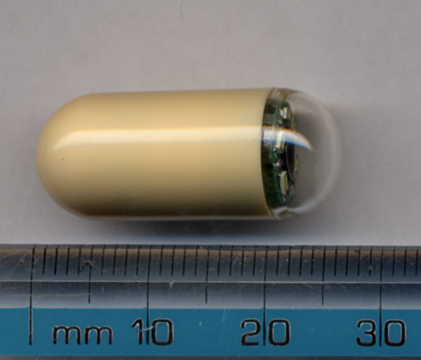capsule endoscopy
