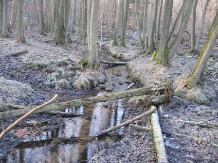 Barnstedt