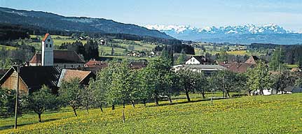 Hergatz