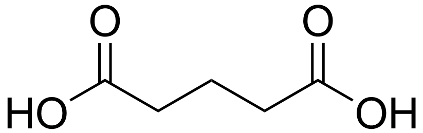 glutaric aciduria type 1
