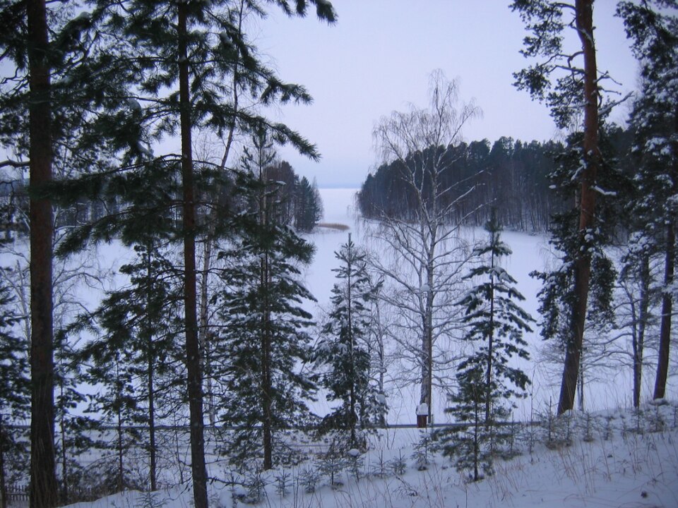 Simpelejärvi