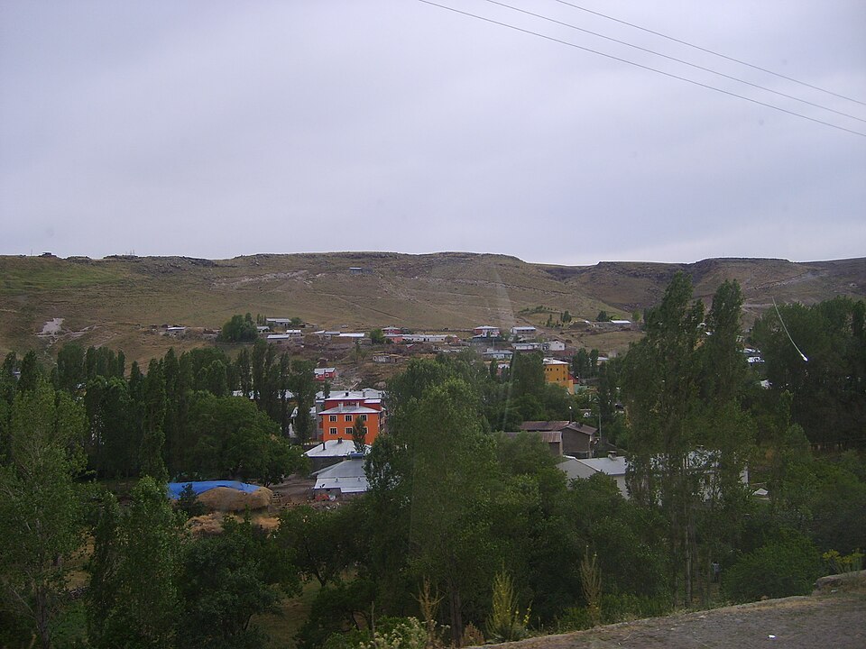 Digor