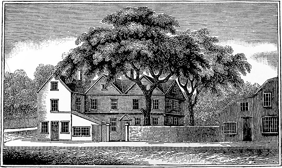 Liberty Tree