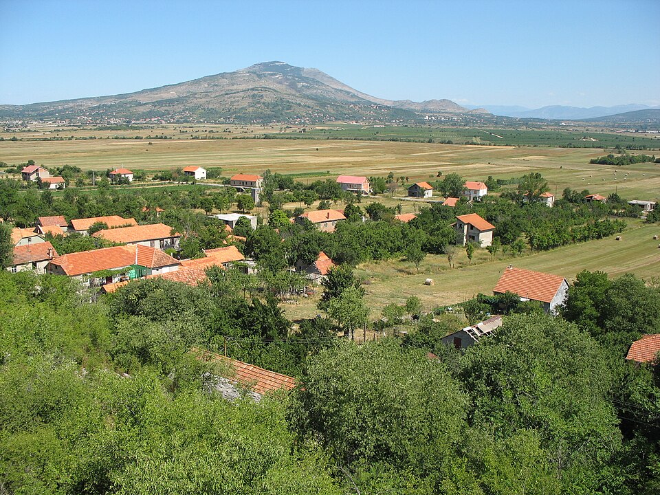 Kričke