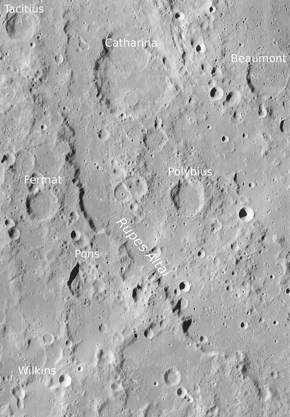 Rupes Altai