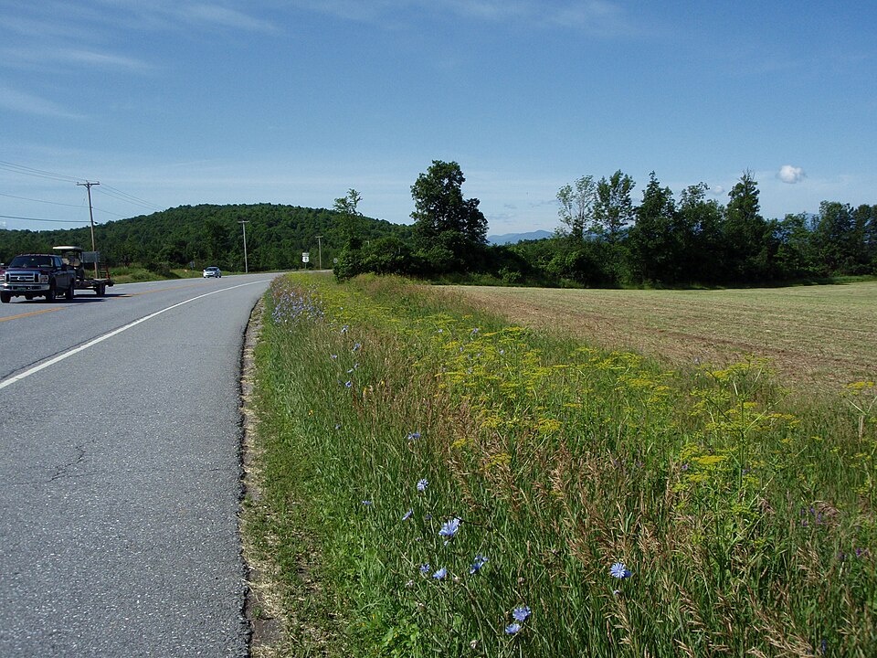 U.S. Route 7