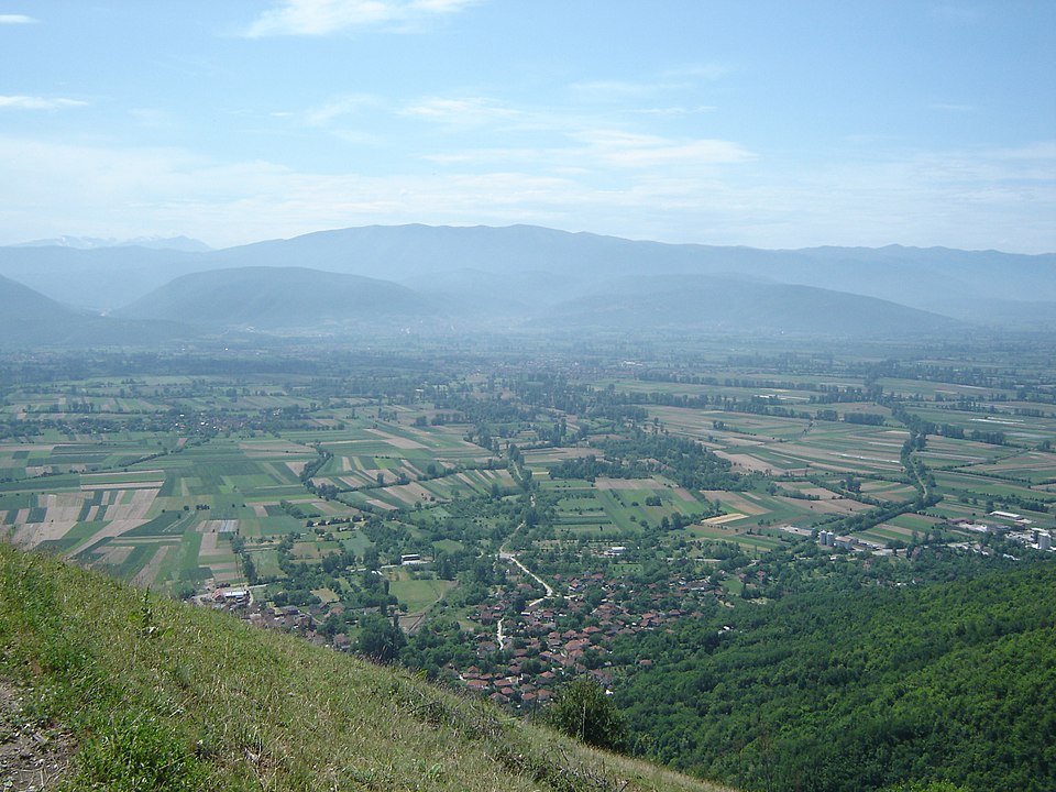 Polog