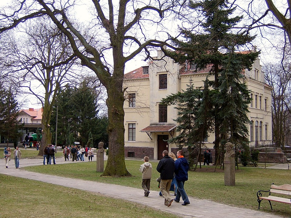 Szreniawa
