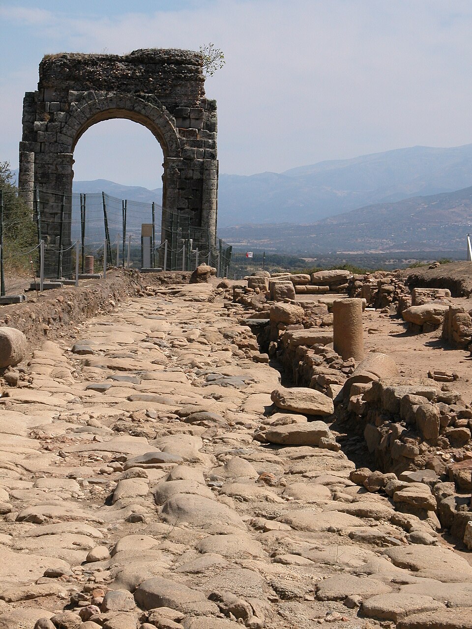Capera