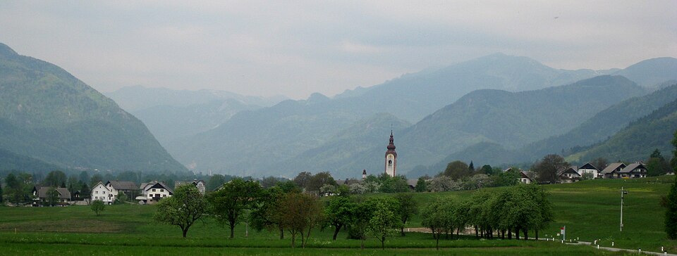 Rodine