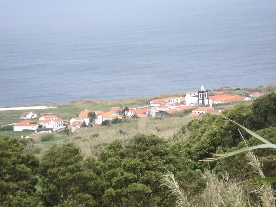 Cedros