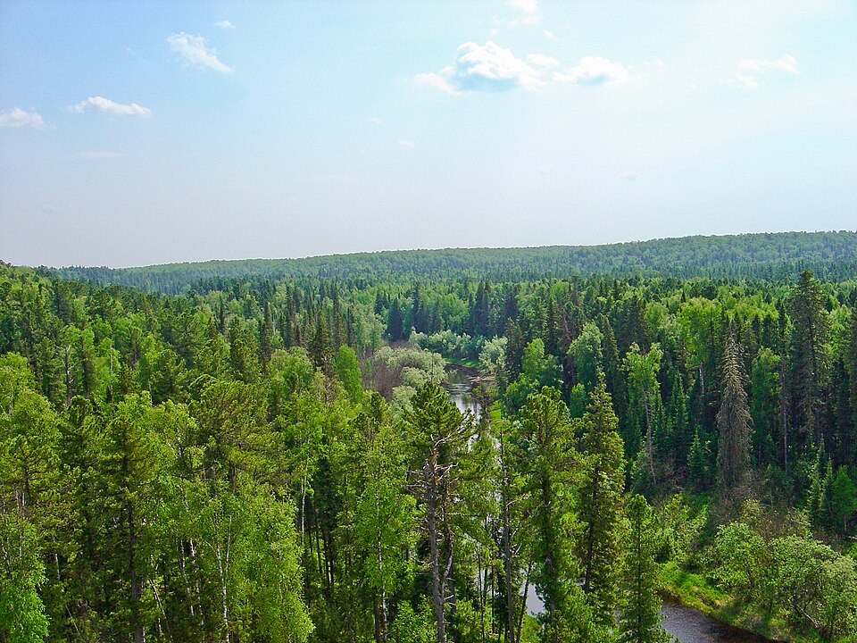 Yugansky Nature Reserve