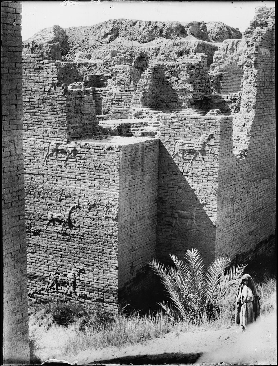 history of the Middle East