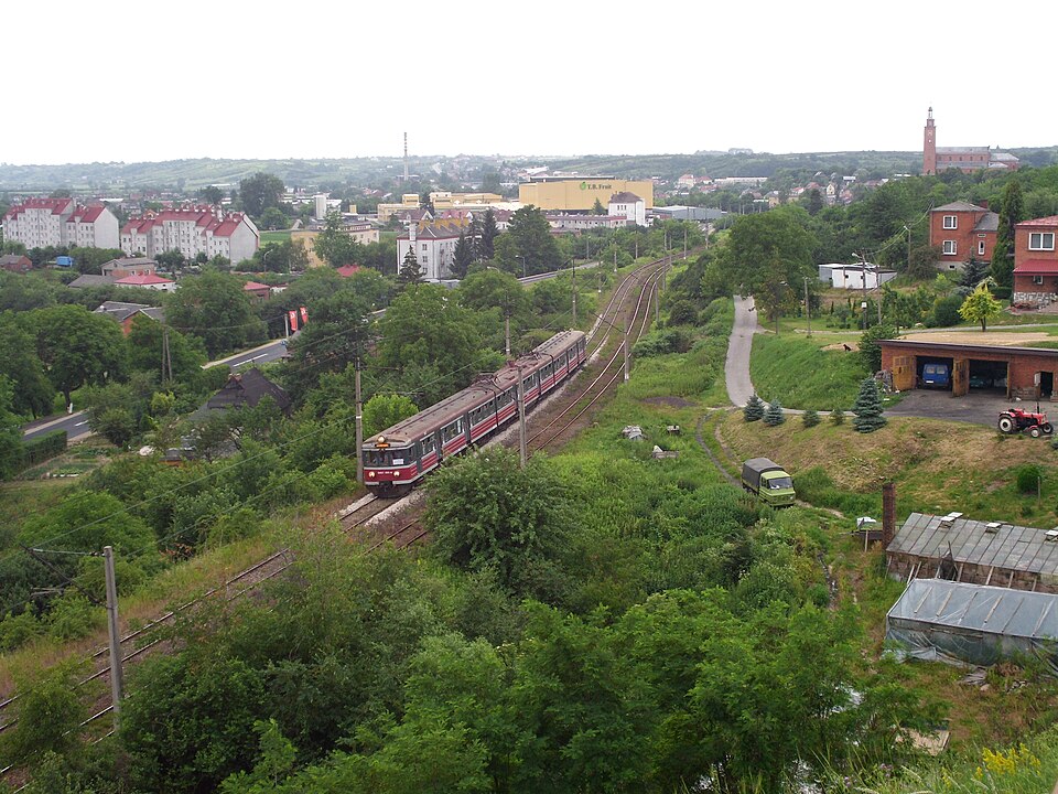 Dwikozy