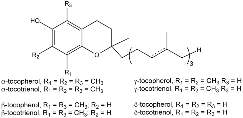 vitamin E